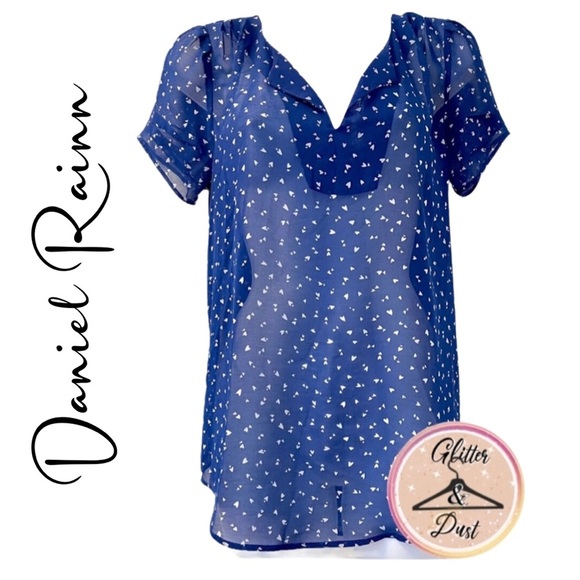 Daniel Rainn Tops - Daniel Rainn Beautiful Blue Sheer V-Neck Short Sleeve Top